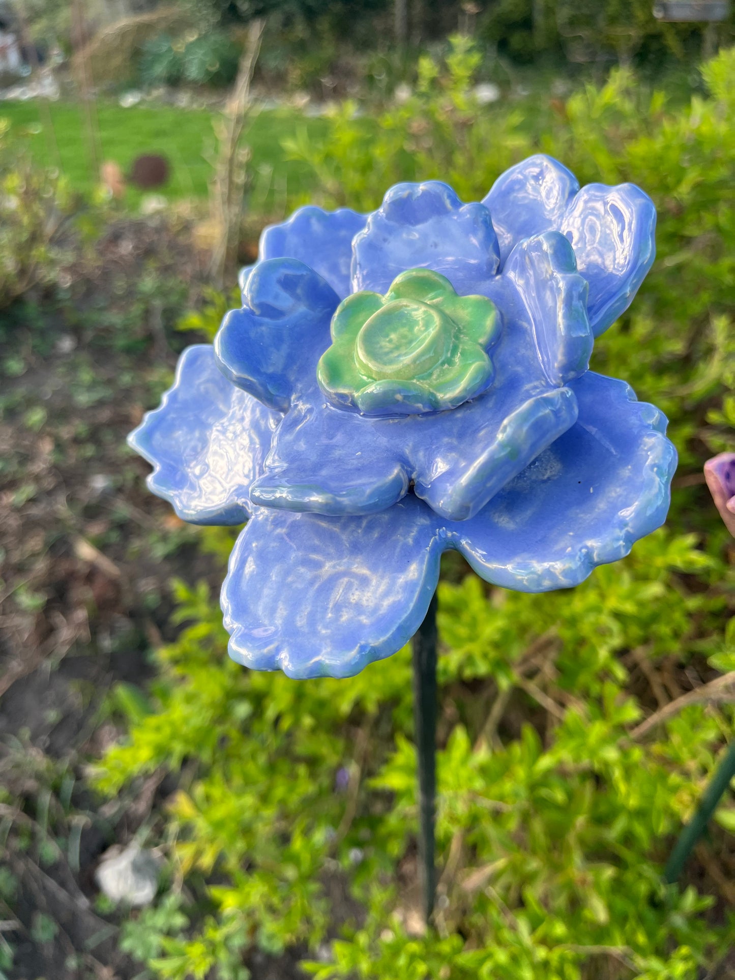 Blauwe bloem