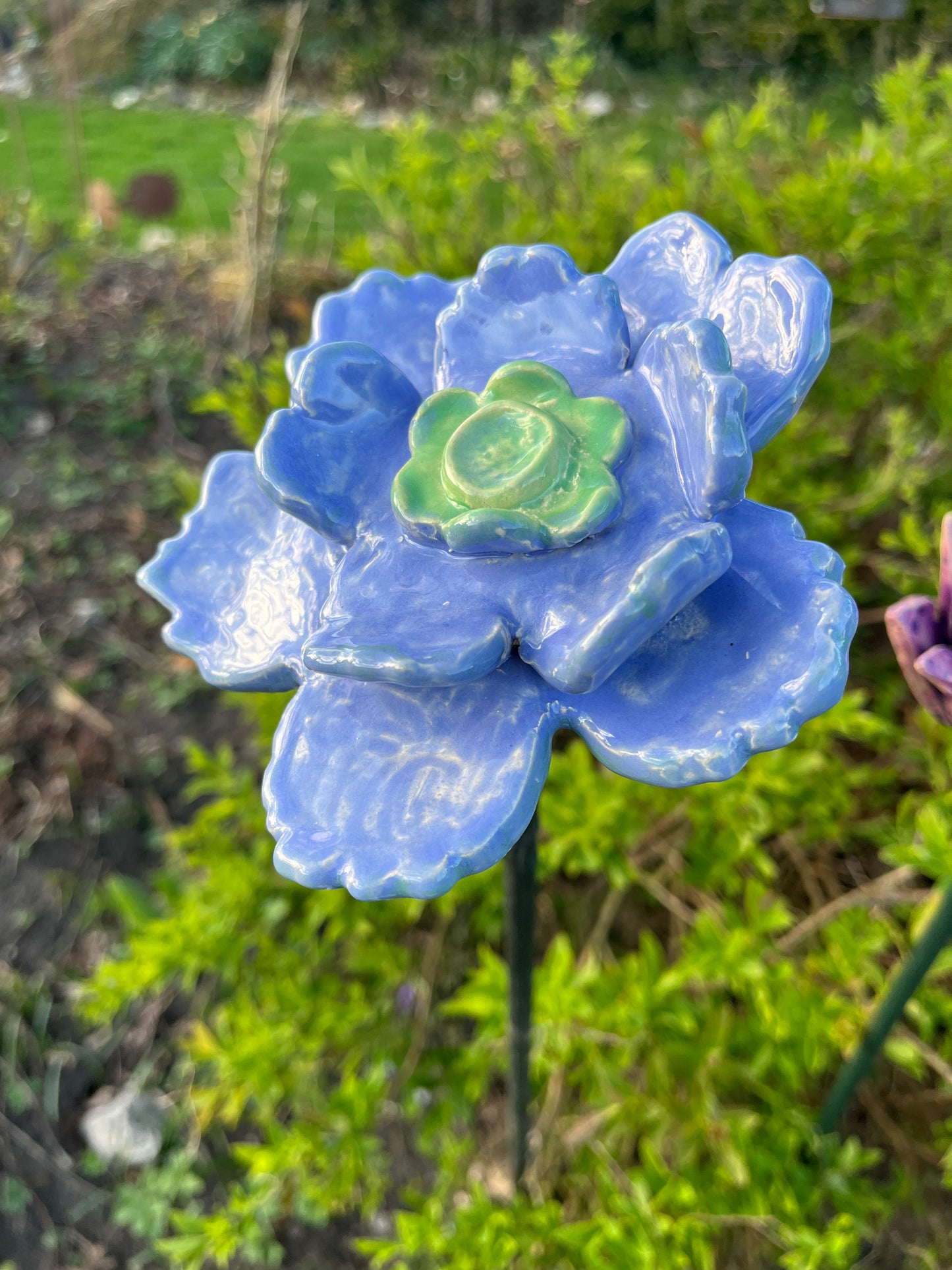 Blauwe bloem