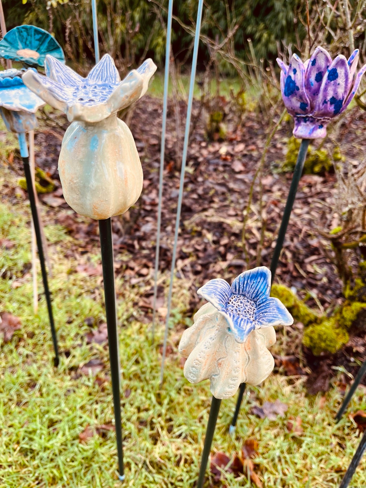Papaver set van twee.