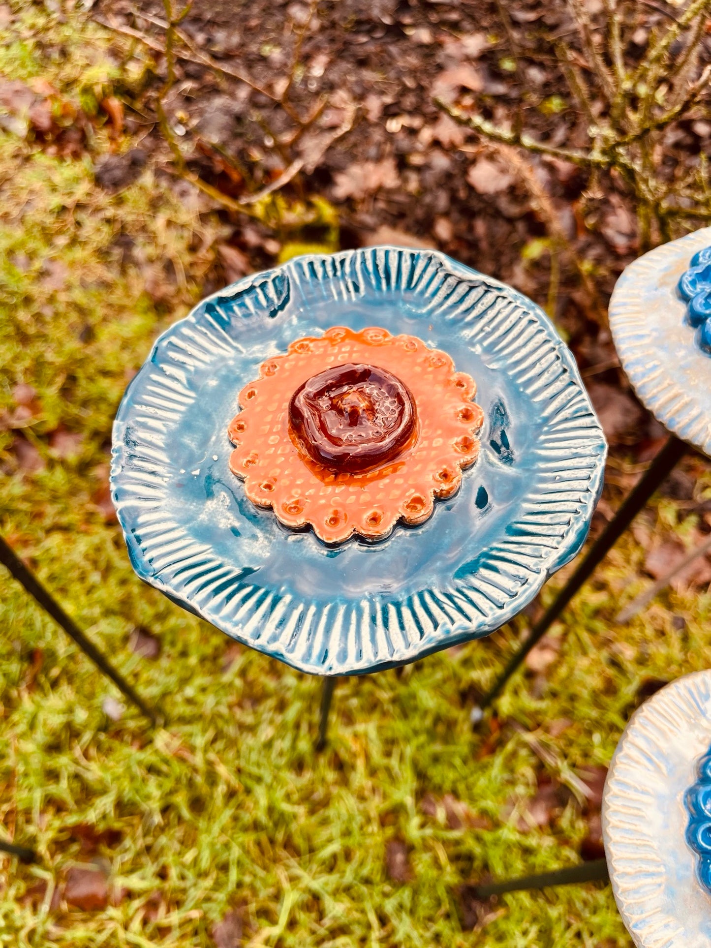 Bloem blauw-oranje