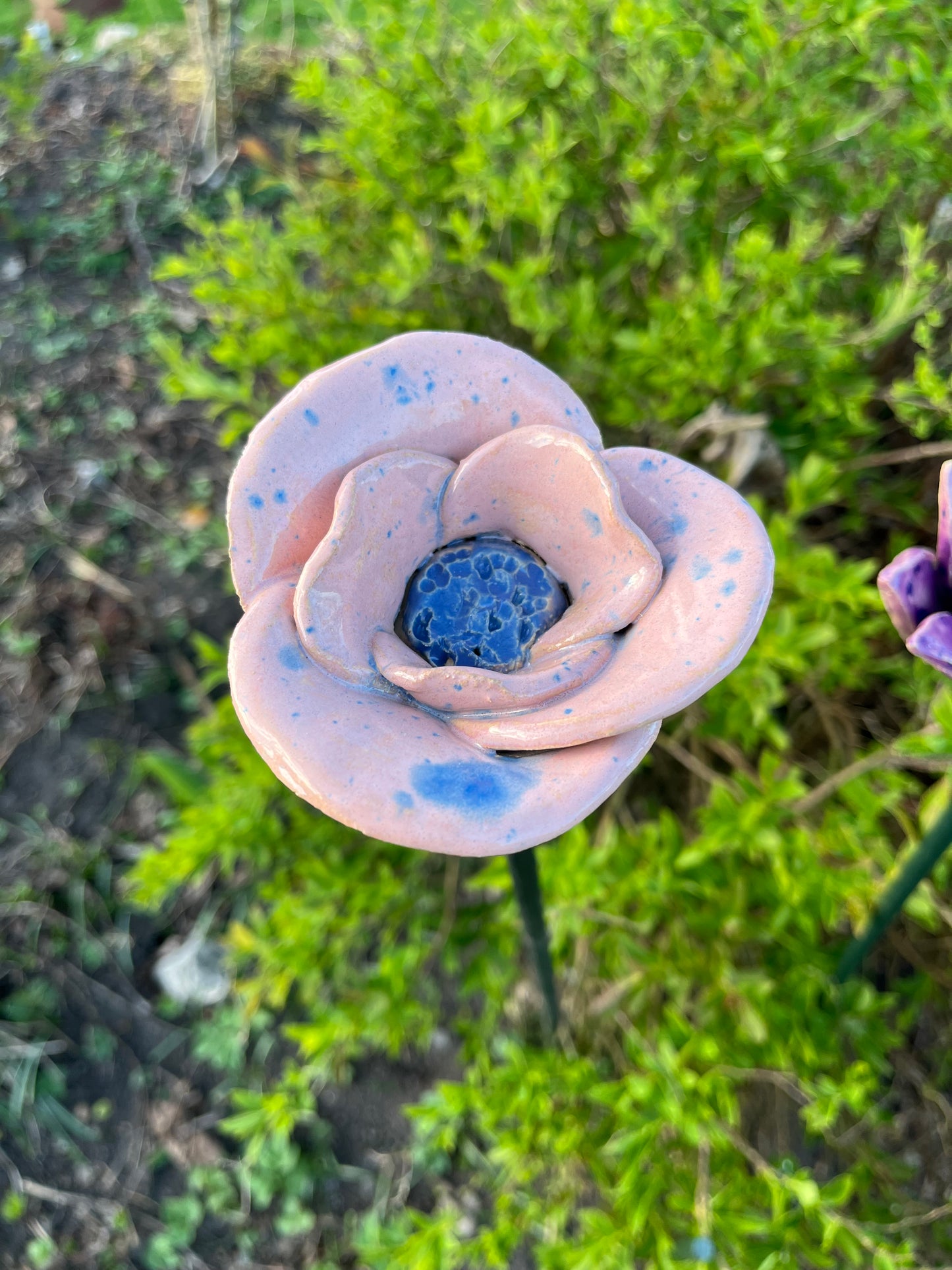 Bloem roze/blauw