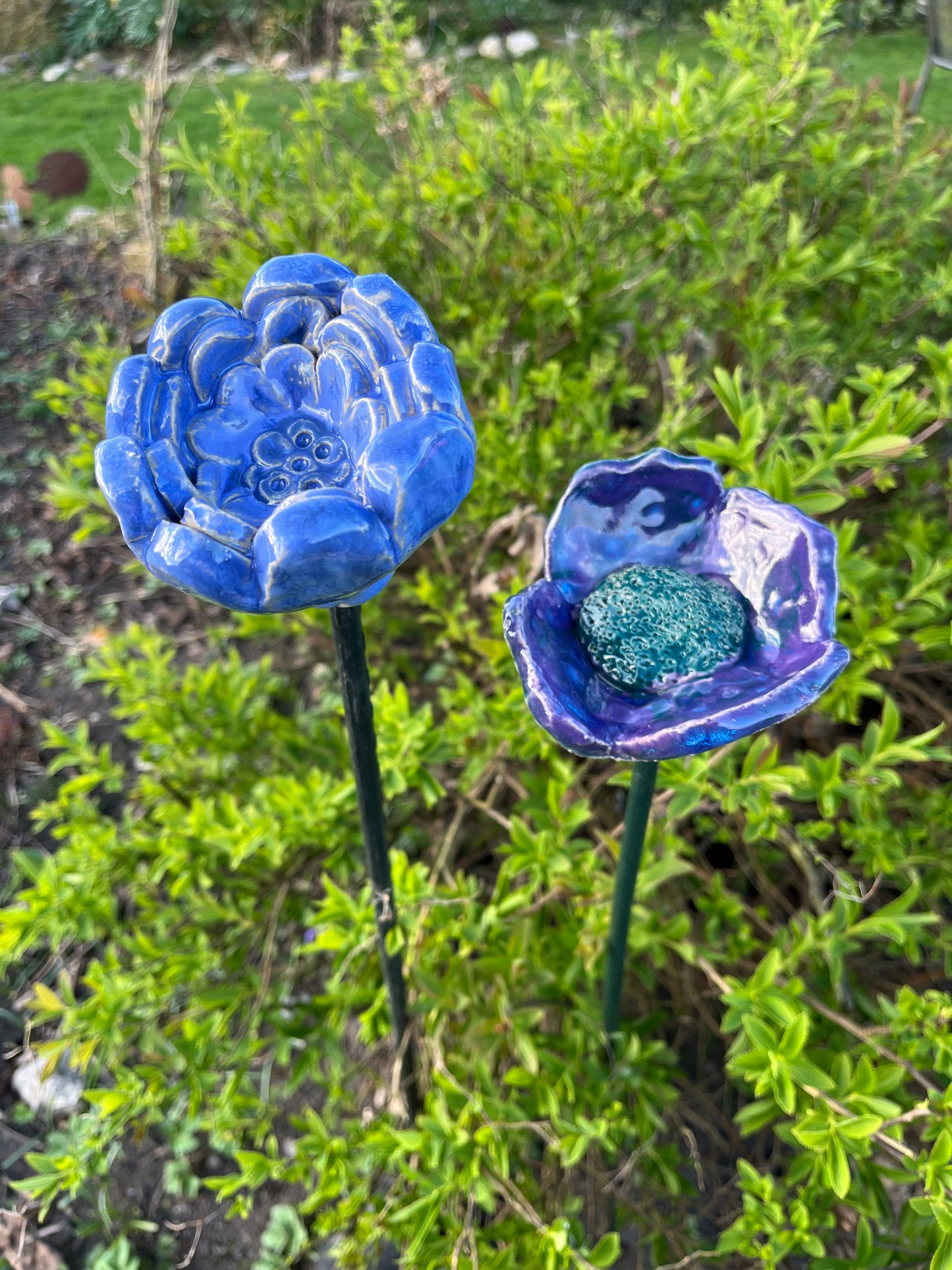 Blauw/Paars set van twee.