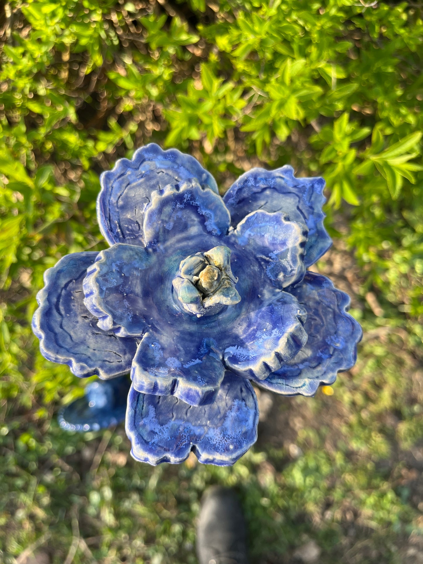 Blauwe bloem