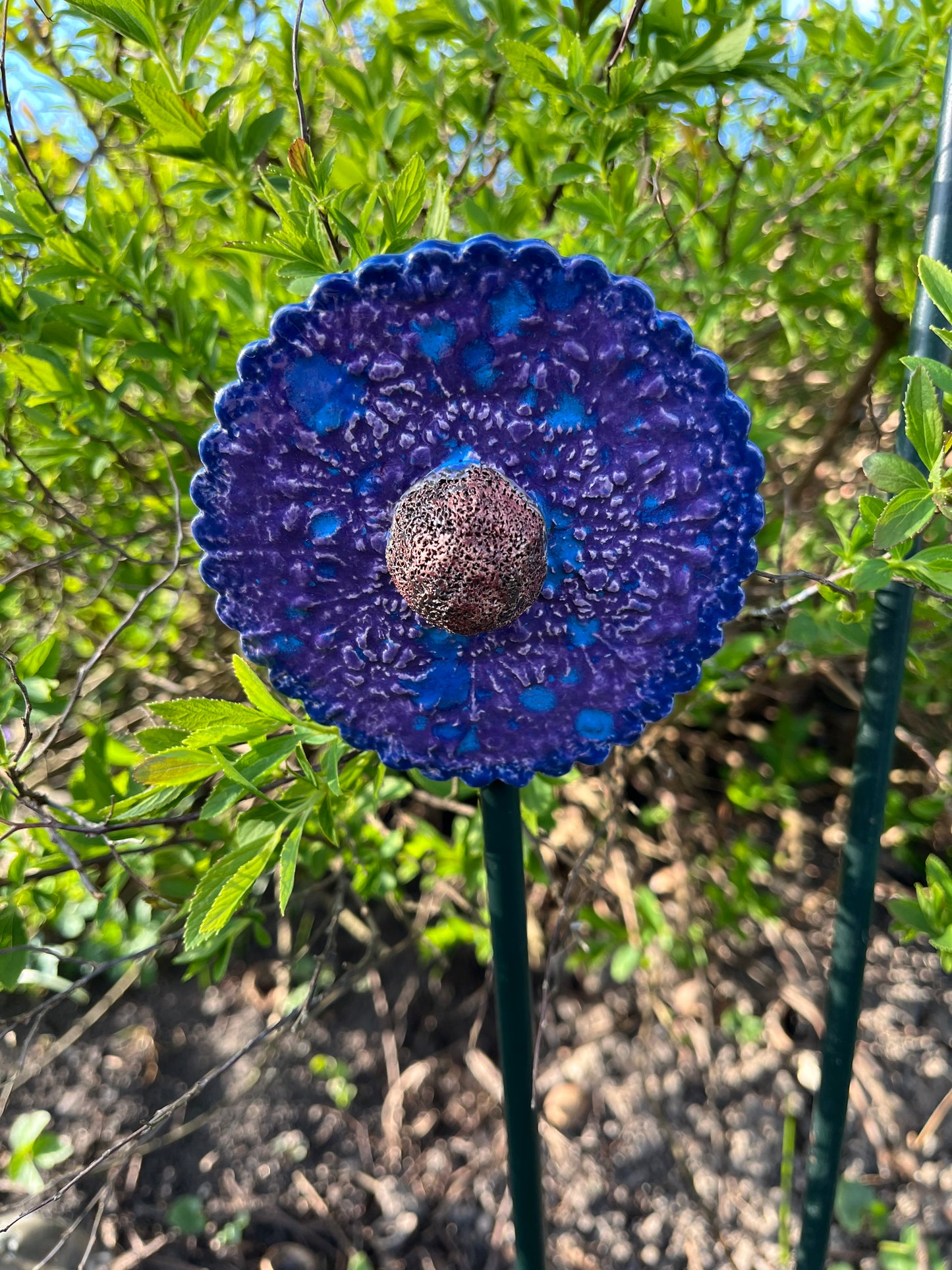 Blauw paarse bloem