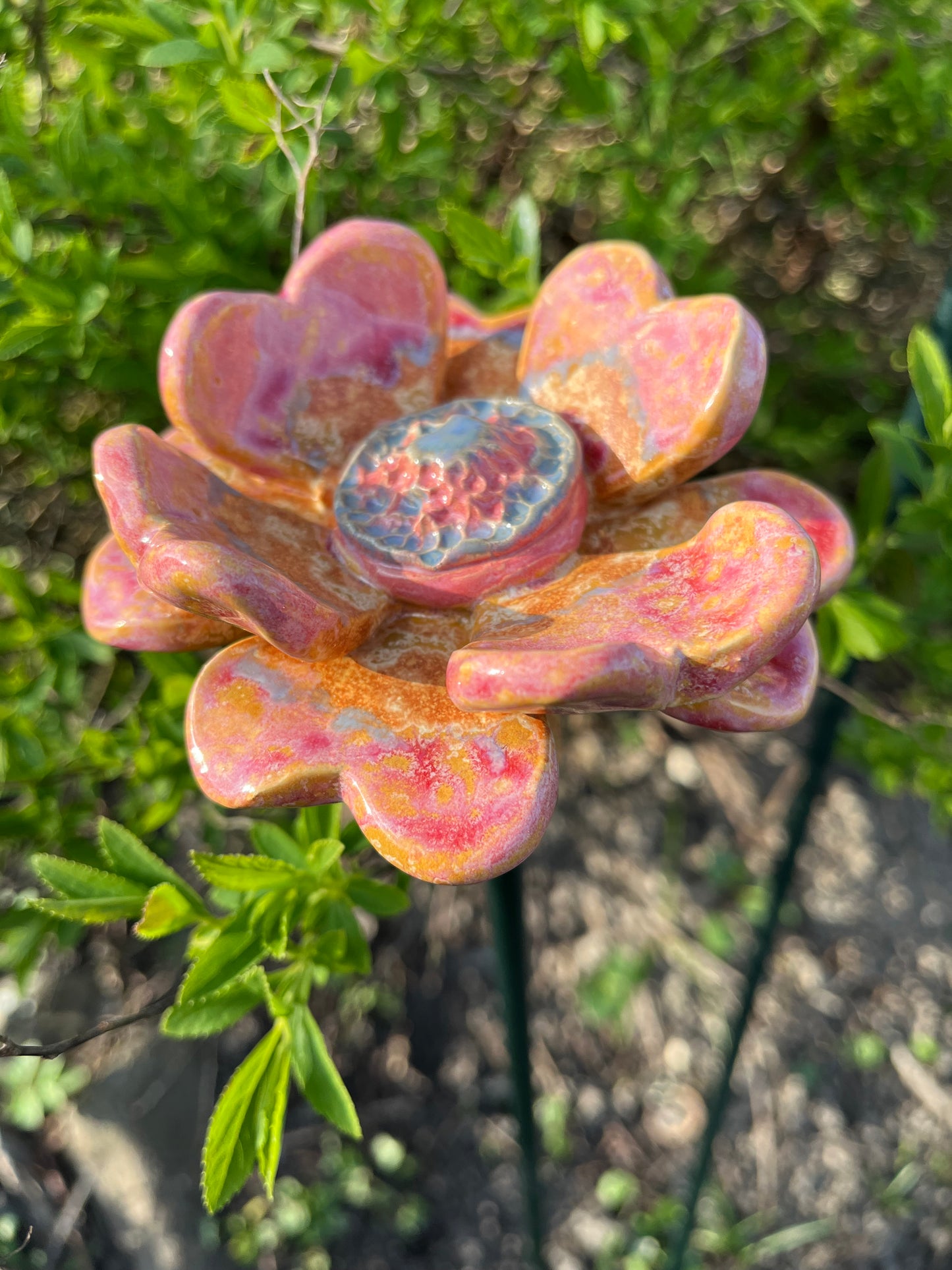 Roze bloem