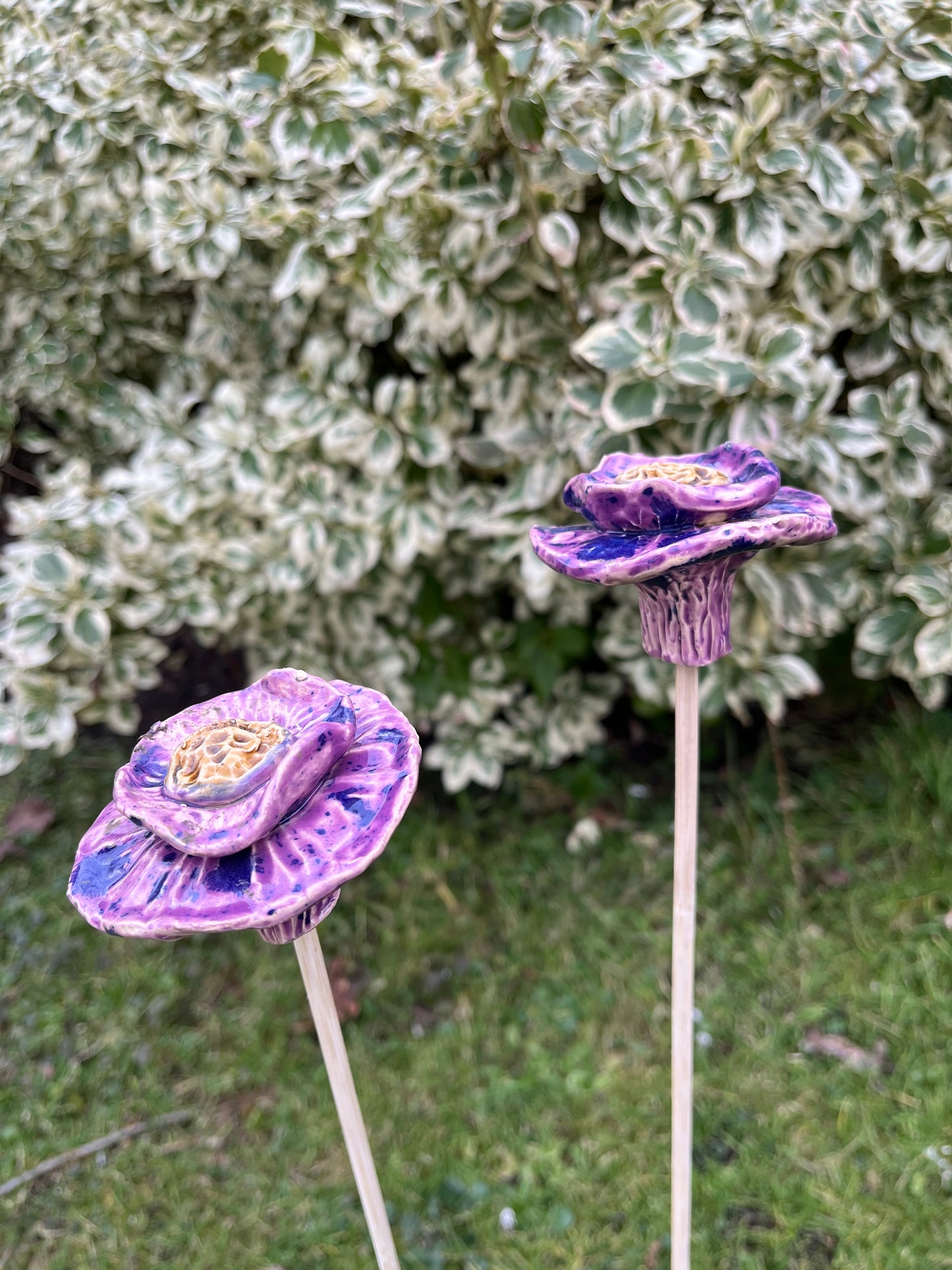 set van twee paarse bloemen