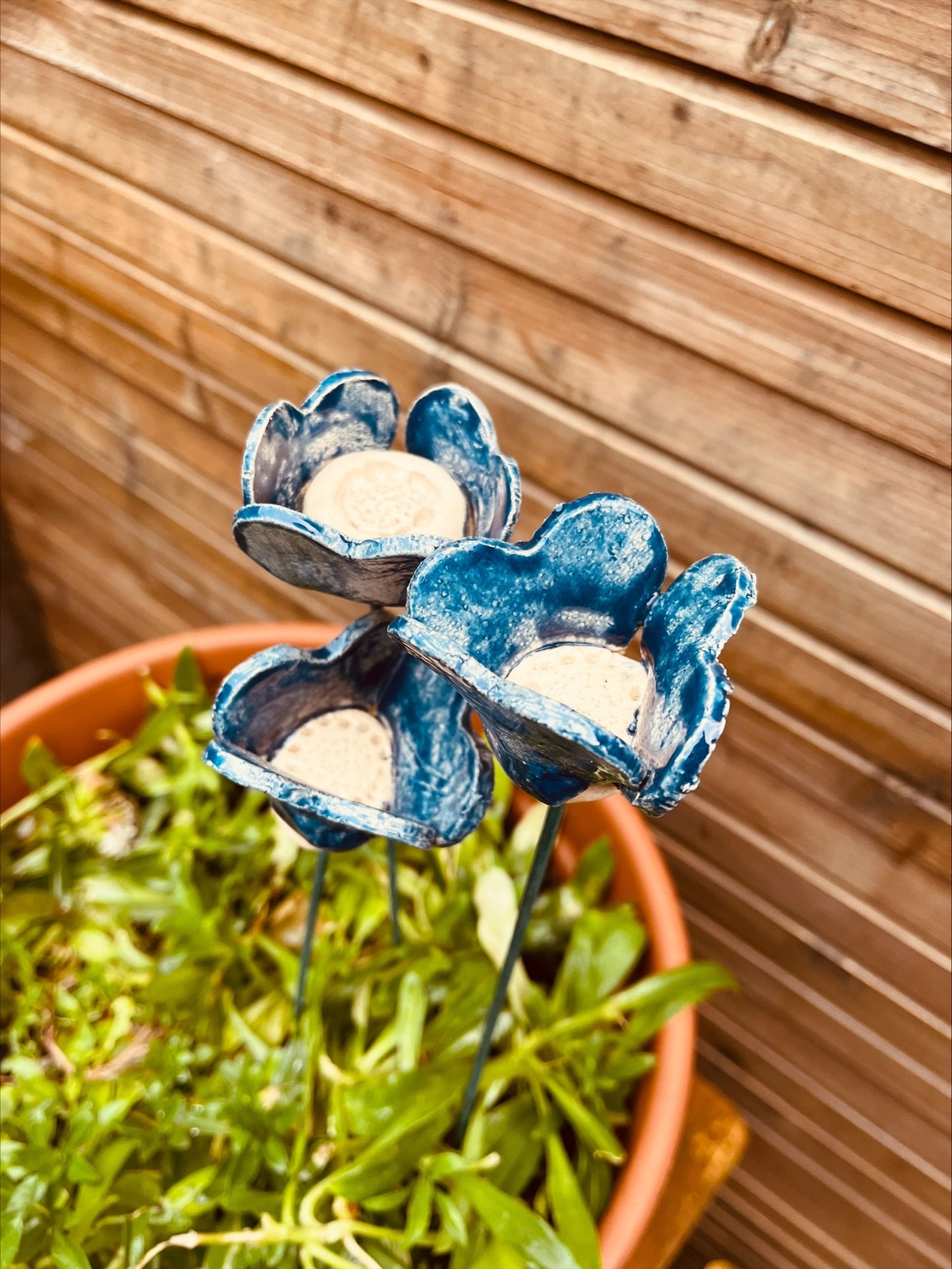 Blauwe bloempjes, set van drie.