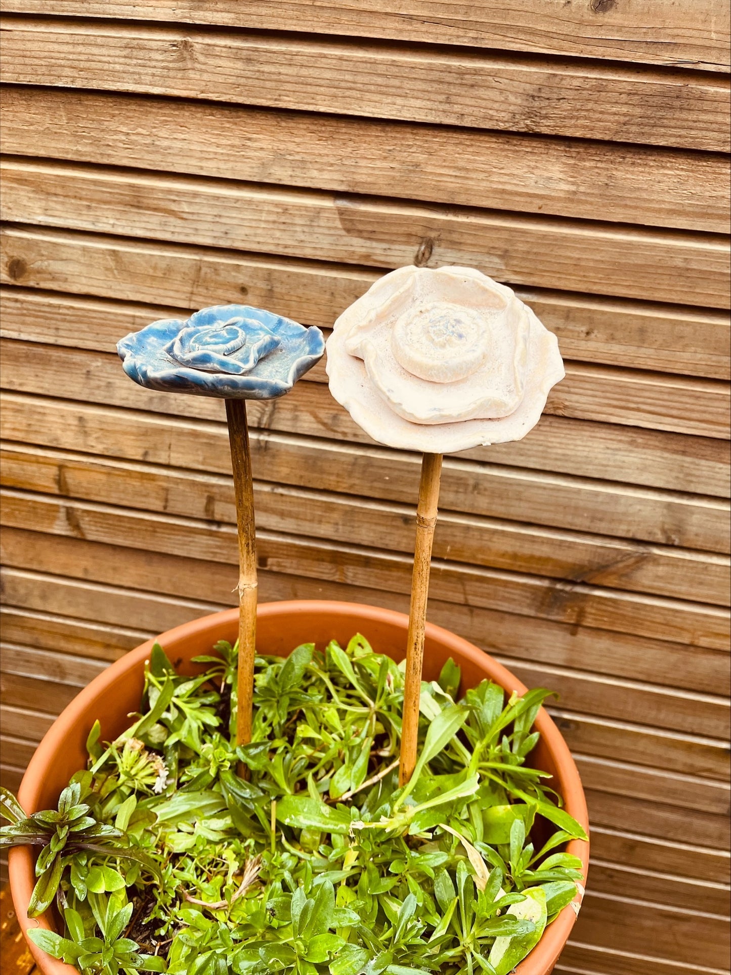 Bloemen set van twee.