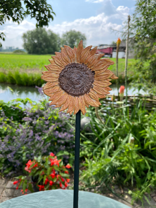 zonnebloem brons