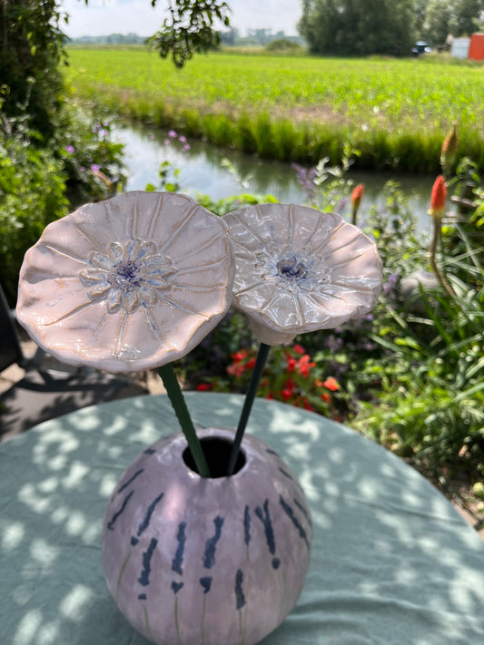 set van twee bloemen
