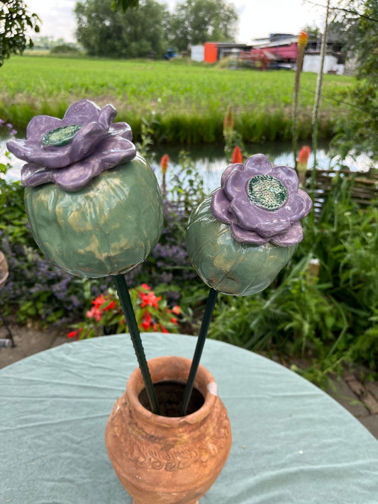 papaver bol set van twee.