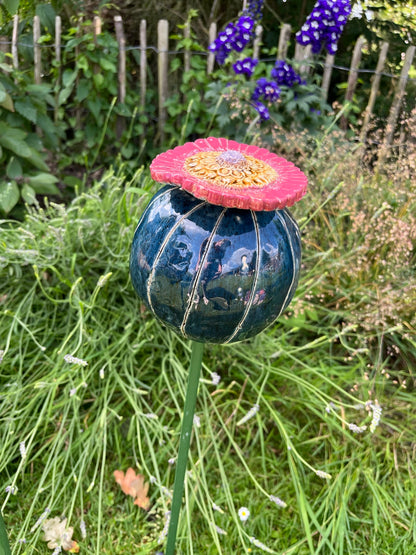 Papaver bol groot.
