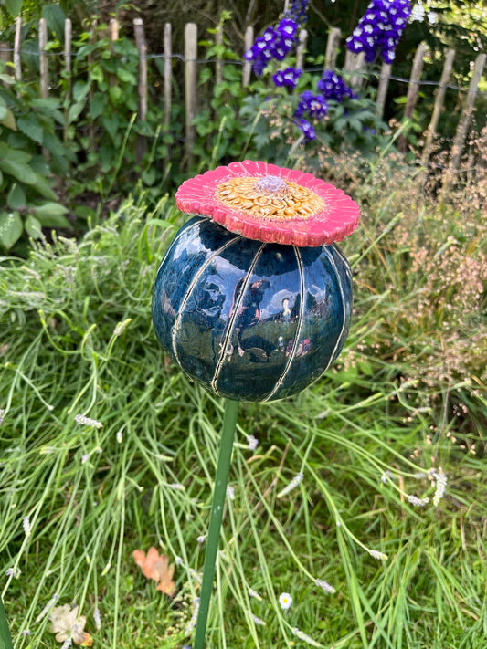 Papaver bol groot.