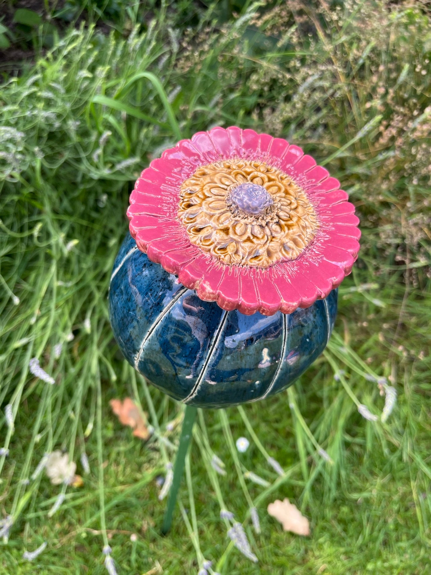 Papaver bol groot.